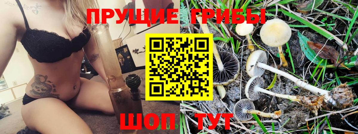 Псилоцибиновые грибы ЛСД  Галлюциногенные грибы мухоморы  купить  сайты  Вход с VPN  Видное 