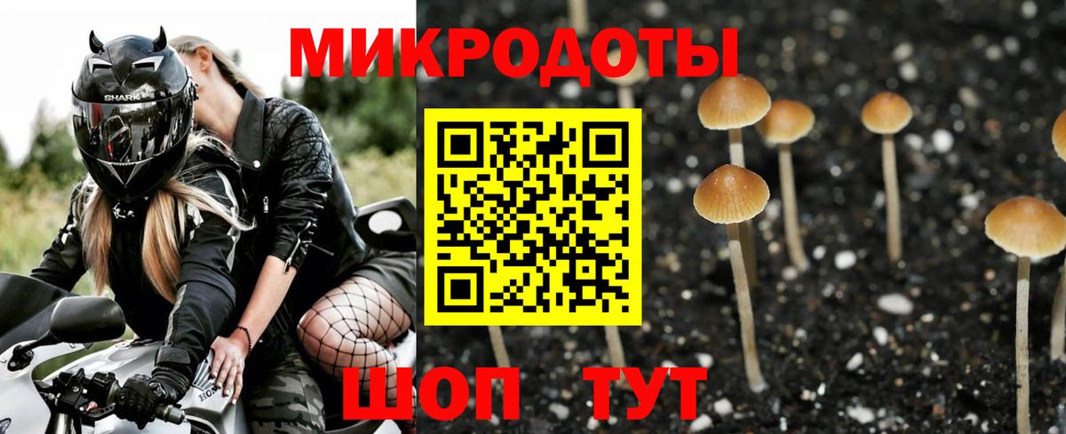 Псилоцибиновые грибы Psilocybe Видное